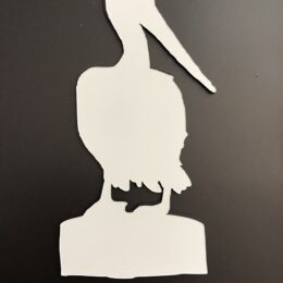 DCentral PELICAN Screen Magnet: Double-Sided Décor; For Non-Retractable Screens, Multipurpose, Helps to Stop Walking into screens, Covers small tears in Screens Size 5" x 5"