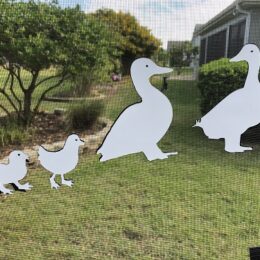 DCentral Ducks Flexible Screen Magnet: Double-Sided Décor; for Non-Retractable Screens, Multipurpose, Helps to Stop Walking into Screens, Covers Small tears in Screens, Size Varies 6" to 2"…