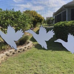 DCentral Three Flying Ducks Flexible Screen Magnet: Multipurpose, Double-Sided, for Non-Retractable Screens, Helps to Stop Walking into Screens, Size W 4.8" x L 3.5" ea…