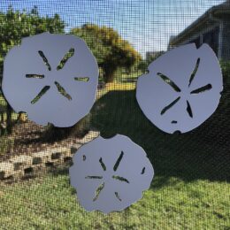 DCentral Sand Dollars Flexible Screen Magnet: Double-Sided Décor; for Non-Retractable Screens, Multipurpose, Helps to Stop Walking into Screens, Covers Small tears in Screens, Avg Size L 4.5" x W 2.5"…