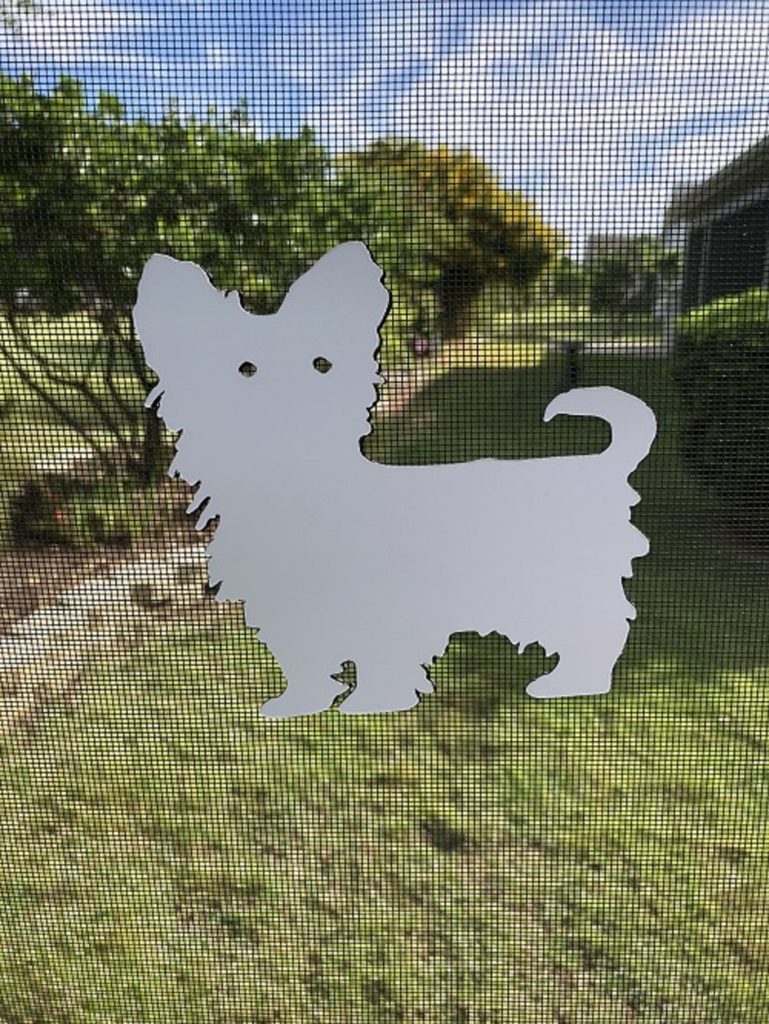 DCentral Yorkshire Terrier "Yorkie" Flexible Screen Magnet: Double ...