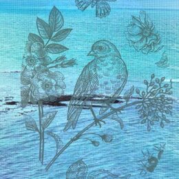 Bird & Butterfly - Decorative Window Cling Vinyl “Etched” Glass Decal – 8” x 12”. Objects are Opaque – Background is Clear