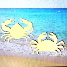 DCentral® Crabs II Flexible Vinyl Safety Screen Magnets: Double-Sided. White-Easier to See Day & Night. Decorative. Helps Stop Walking into Screens, for Non-RETRACTABLES, Size W 5" x L 3.5"