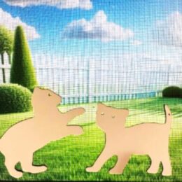 DCentral® Kittens Flexible Vinyl Safety Screen Magnets: Double-Sided. White-Easier to See Day & Night. Decorative. Helps Stop Walking into Screens, for Non-RETRACTABLES, Size W 5" x L 4" ea