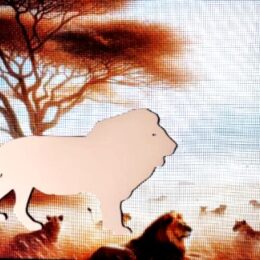 DCentral® LION Flexible Vinyl Safety Screen Magnets: Double-Sided. White-Easier to See Day & Night. Decorative. Helps Stop Walking into Screens, for Non-RETRACTABLES, Size W 6.5" x L 4.5"