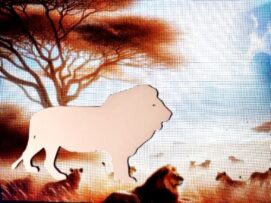 DCentral® LION Flexible Vinyl Safety Screen Magnets: Double-Sided. White-Easier to See Day & Night. Decorative. Helps Stop Walking into Screens, for Non-RETRACTABLES, Size W 6.5" x L 4.5"