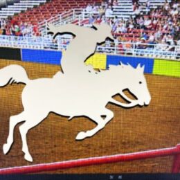 DCentral® Rodeo Flexible Vinyl Safety Screen Magnets: Double-Sided. White-Easier to See Day & Night. Decorative. Helps Stop Walking into Screens, for Non-RETRACTABLES, Size W 16.5" x L 7.5"