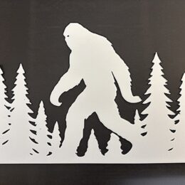 DCentral® BIGFOOT Flexible Vinyl Screen Magnets: Double-Sided, White- Easier to See, Decorative. Helps Stop Walking into Screens, Covers Small Tears, FOR NON-RETRACTABLES, Size W 7.5” X H 4. 75”