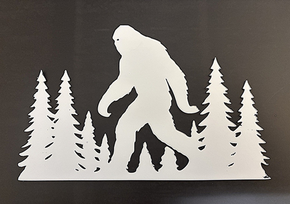 DCentral® BIGFOOT Flexible Vinyl Screen Magnets: Double-Sided, White- Easier to See, Decorative. Helps Stop Walking into Screens, Covers Small Tears, FOR NON-RETRACTABLES, Size W 7.5” X H 4. 75”